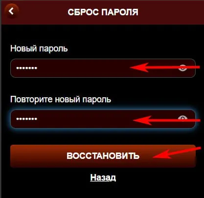 Экран «Сброс пароля»: поля «Новый пароль» и «Повторите новый пароль»